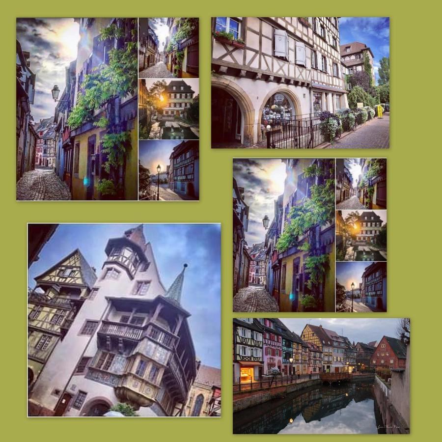 N¨°1 Schongauer Gite De Charme Centre Touristique Кольмар Екстер'єр фото