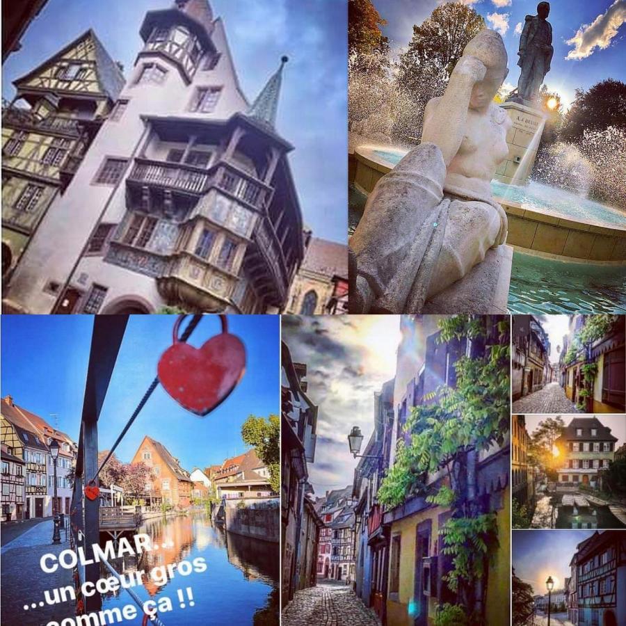 N¨°1 Schongauer Gite De Charme Centre Touristique Кольмар Екстер'єр фото